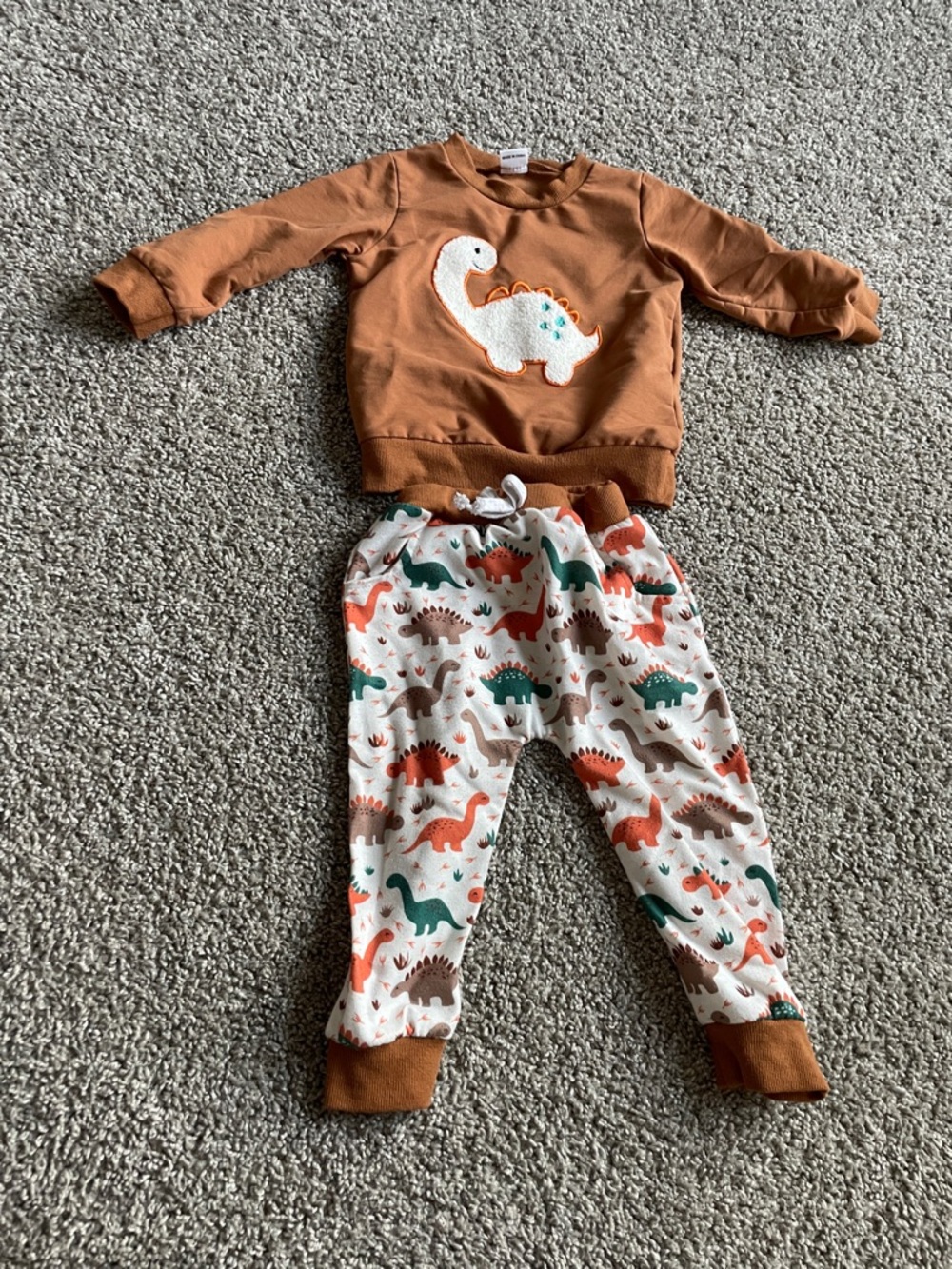 Dinosaur Sweatshirt & Dino Print Pants Set